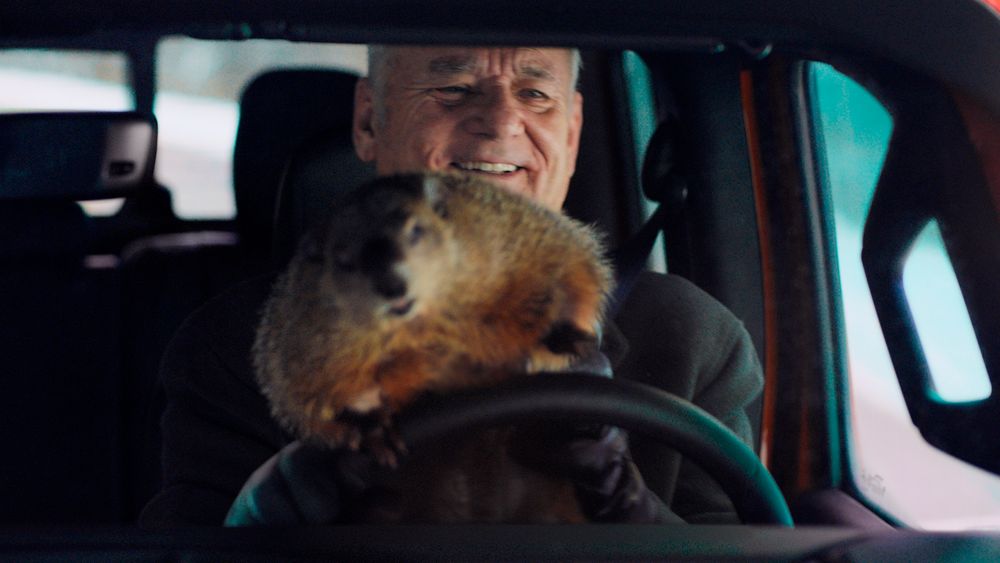 Bill Murray et sa marmotte