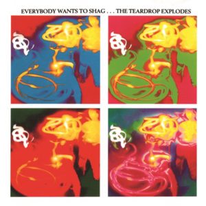 THE TEARDROP EXPLODES « Everybody Wants To Shag... »