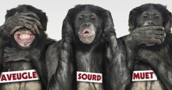 3-singes-sagesse-bonobos