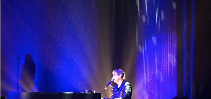 Alain Chamfort à Pleyel