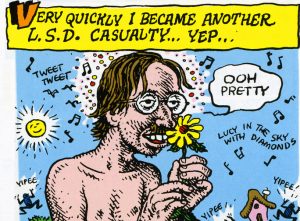 LSD by Crumb