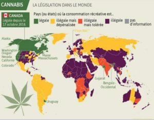 Législation dans le monde