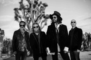 Mike Campbell and The Dirty Knobs  by Chris Phelps