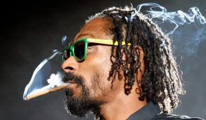 Snoop blunt