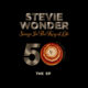 Stevie Wonder