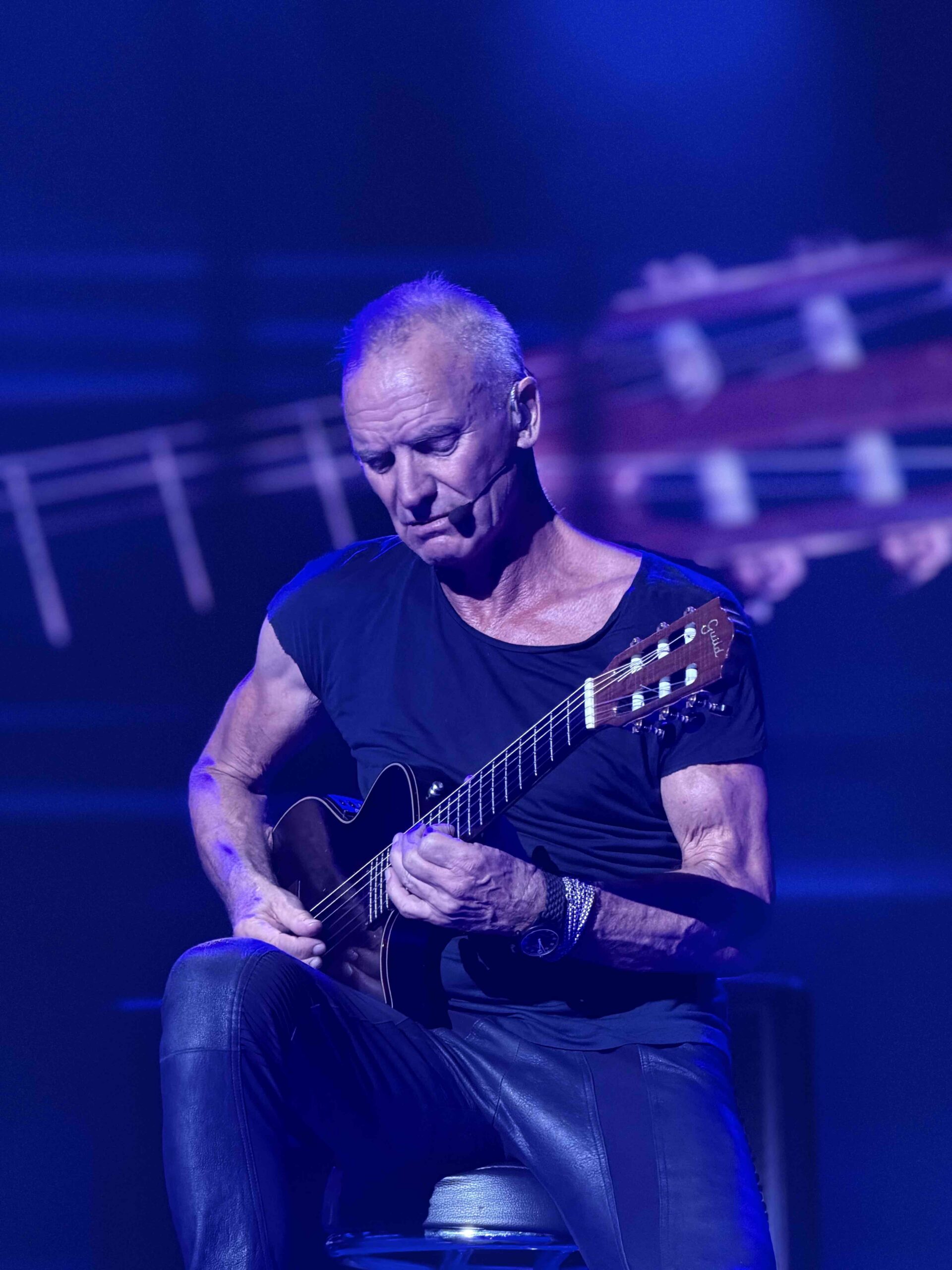 Sting by Nora Rouyer
